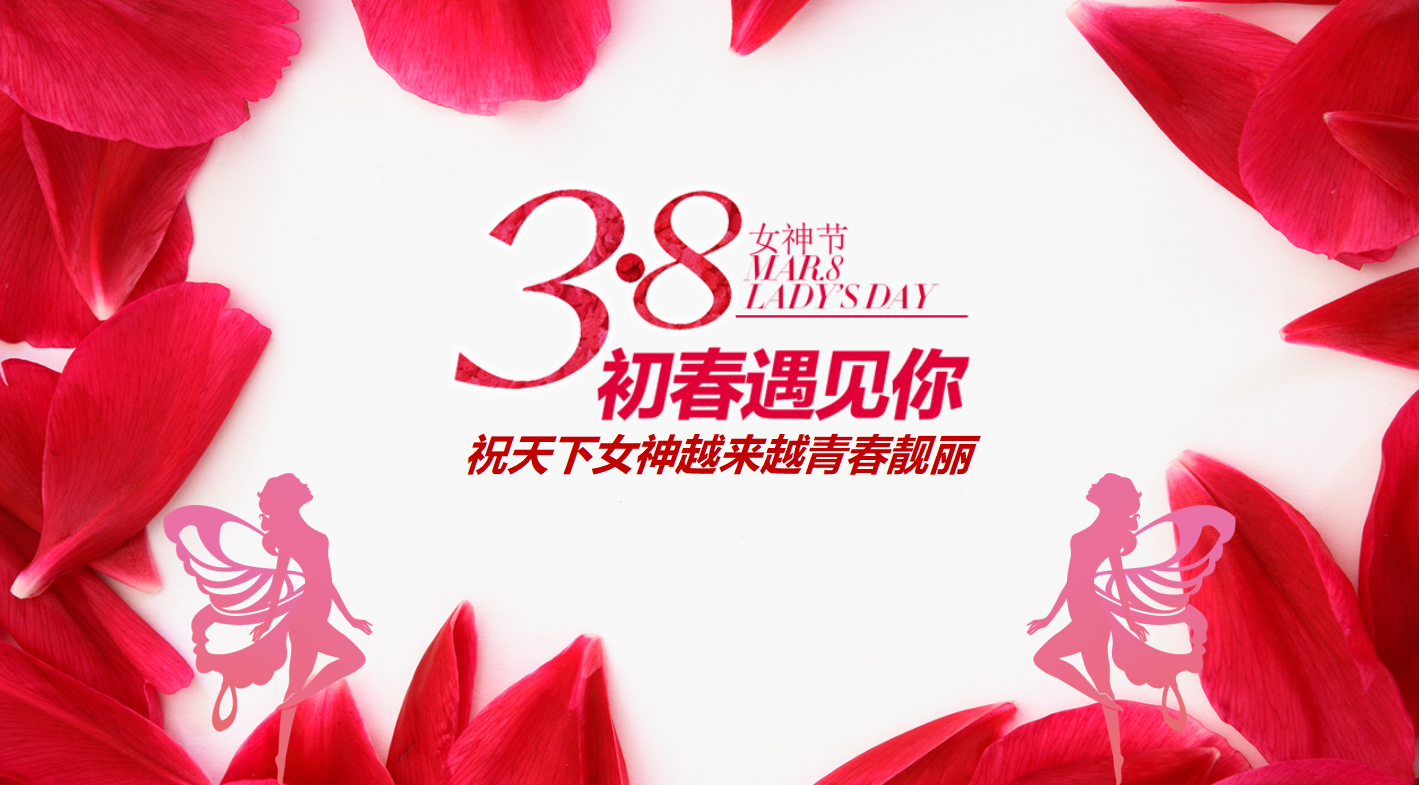 电商活动策划方案ppt