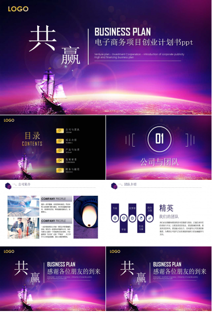 电子商务项目创业计划书ppt