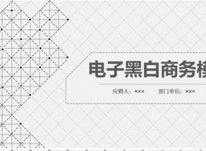 ppt怎么放大和缩小操作界面
