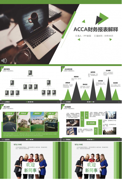 ACCA财务报表解释PPT课件