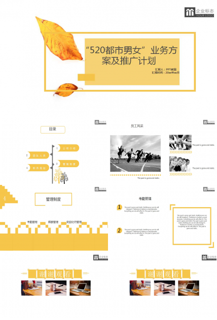 “520都市男女”业务方案及推广计划PPT课件