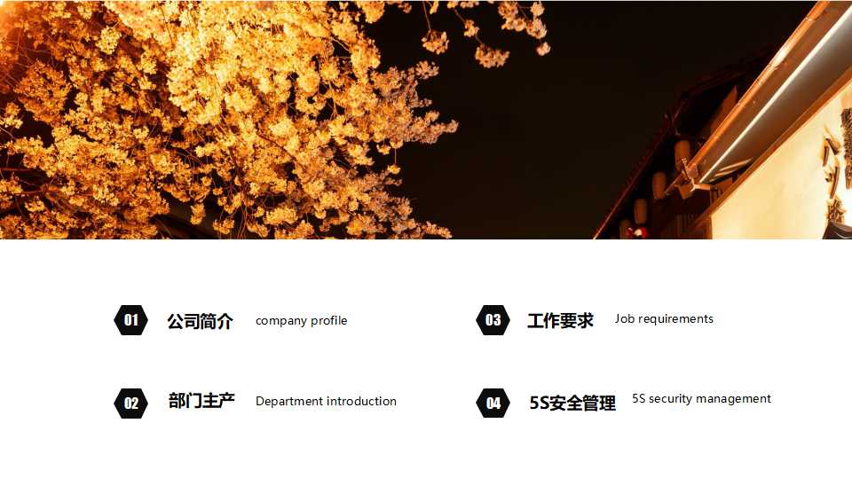 PowerPoint国外模板下载