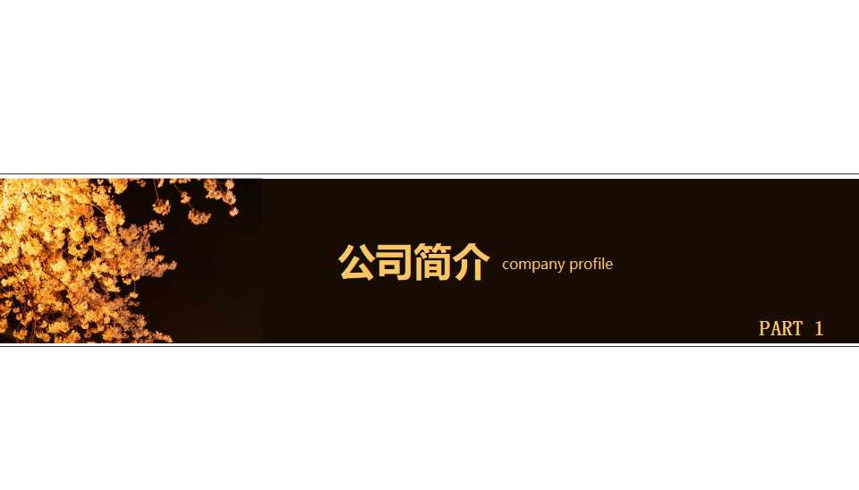 PowerPoint国外模板下载