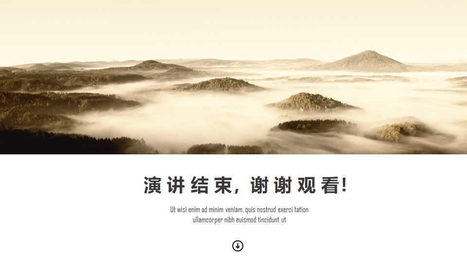 国外精选PPT模板：褐色图案