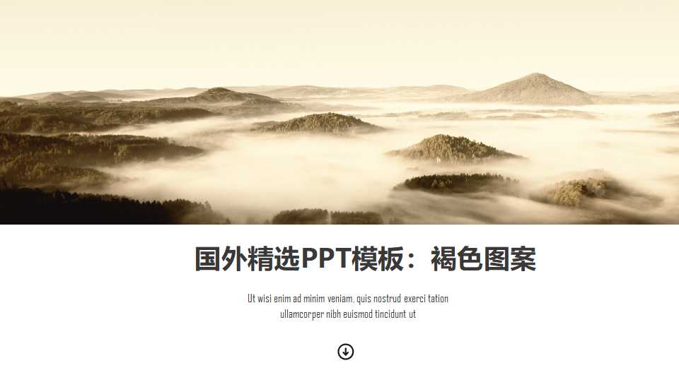 国外精选PPT模板：褐色图案