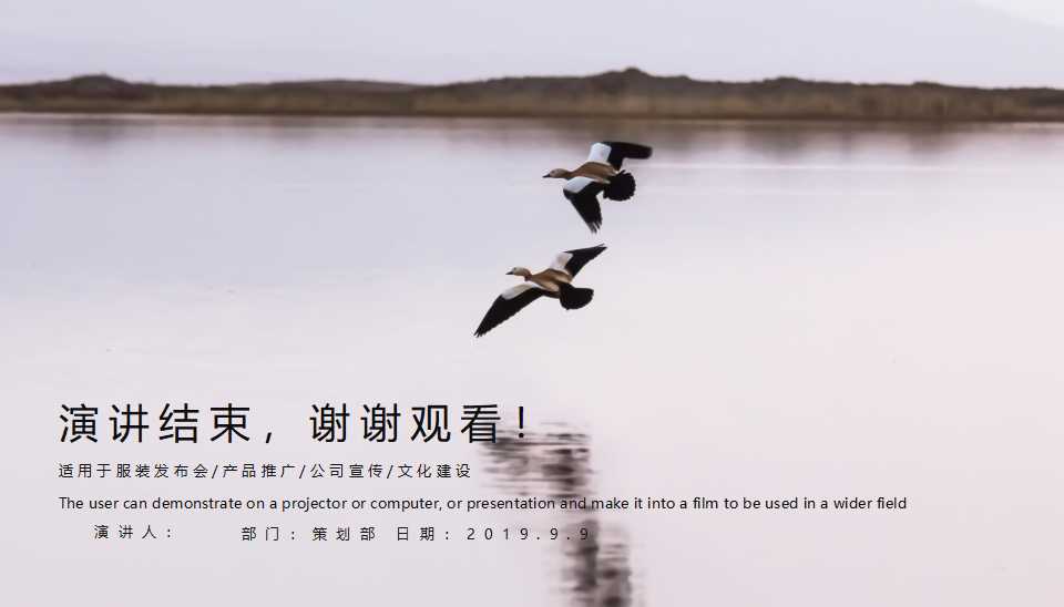 数据统计表PPT模板（欧美风格完美）