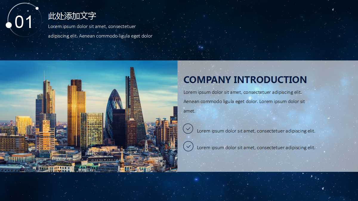 IT行业经典PPT模板