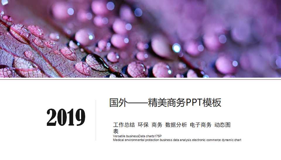 国外——精美商务PPT模板