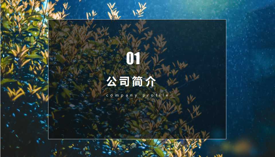 国外PPT模板下载（2010精品）