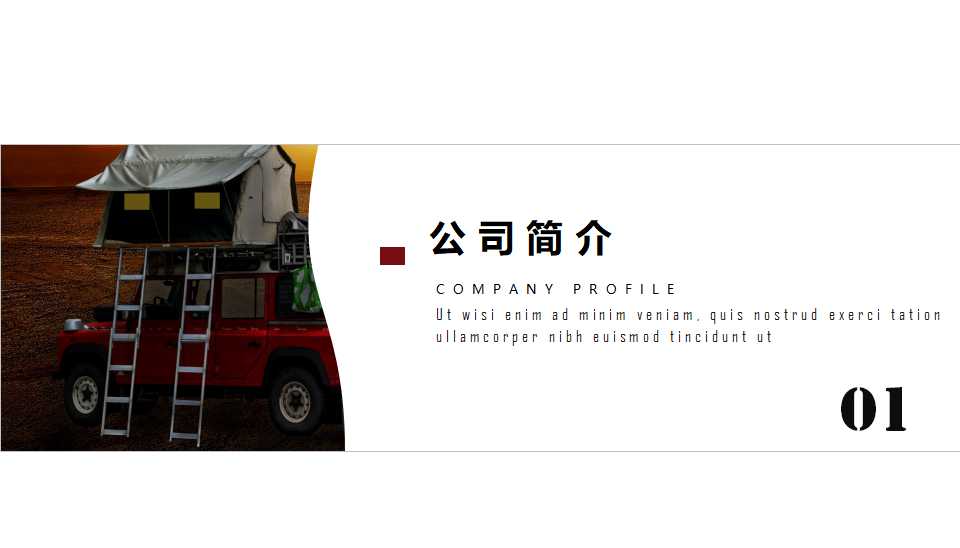 欧美行销最热门的话题——品牌资产PPT课件