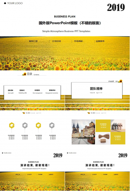 国外版PowerPoint模板（不错的版面）