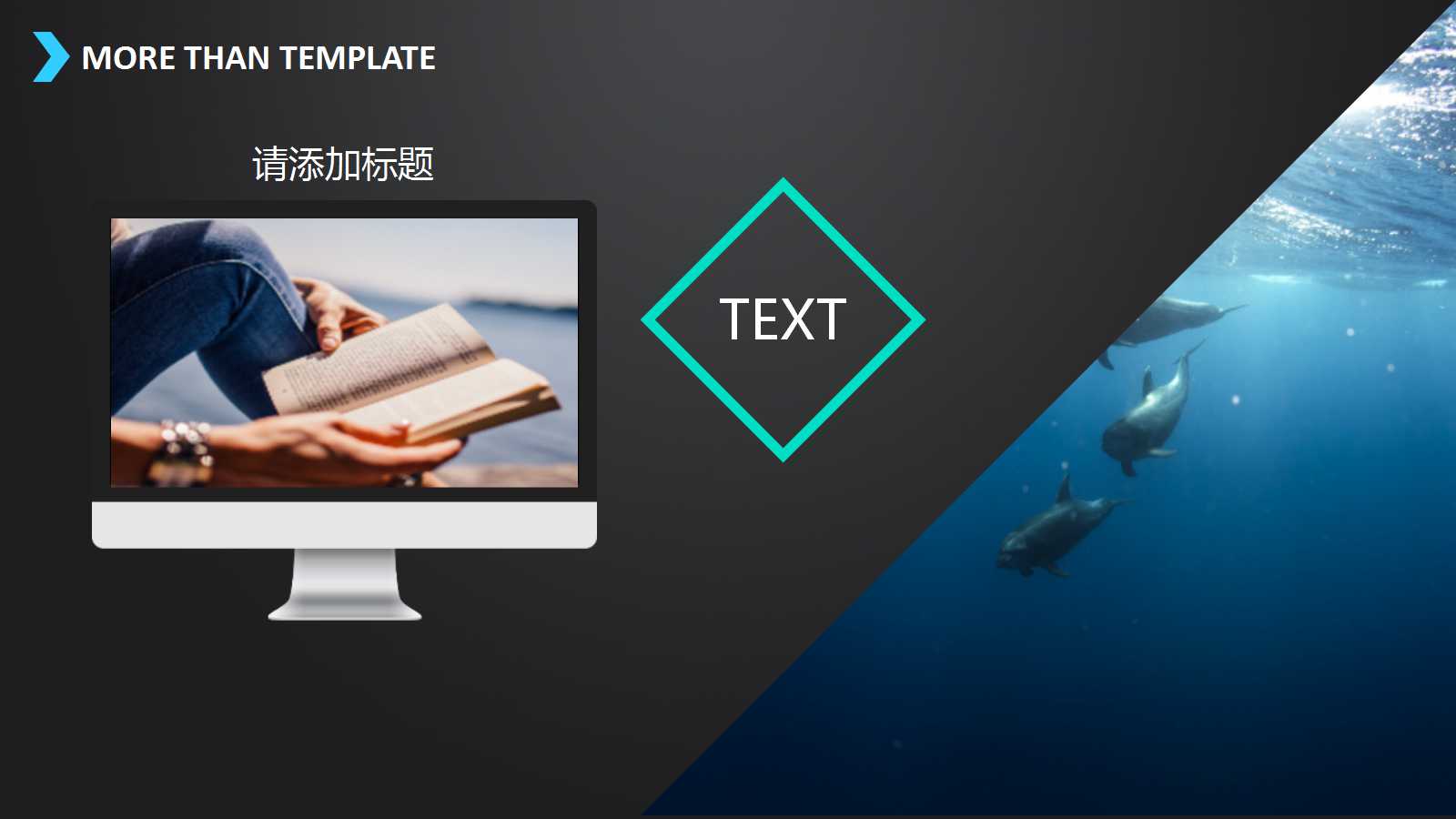 走向成熟的中国IT用户PPT课件