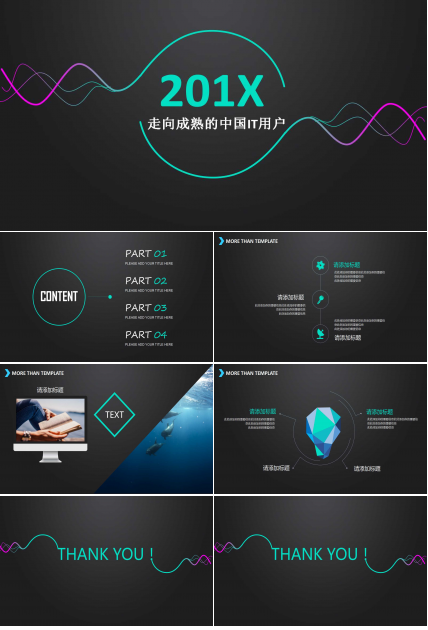 走向成熟的中国IT用户PPT课件