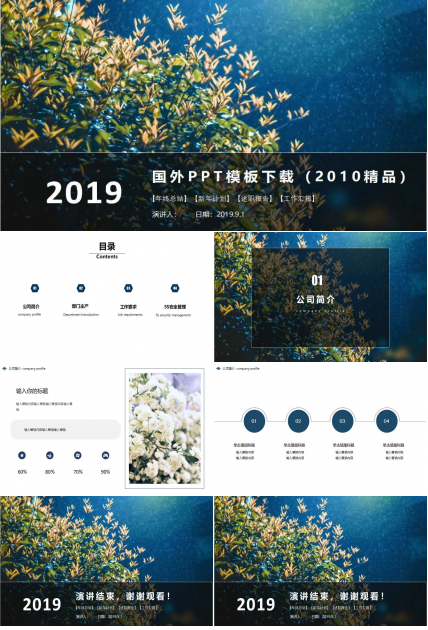 国外PPT模板下载（2010精品）