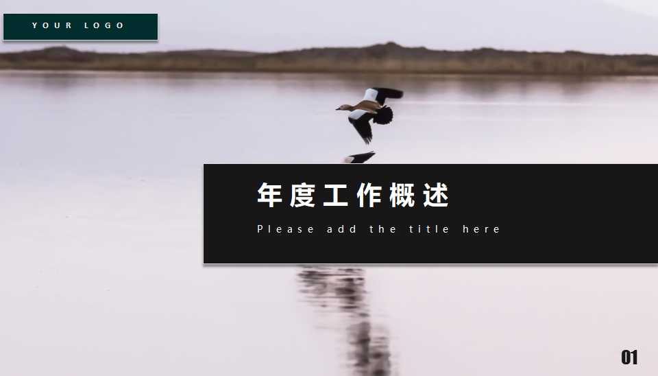 数据统计表PPT模板（欧美风格完美）