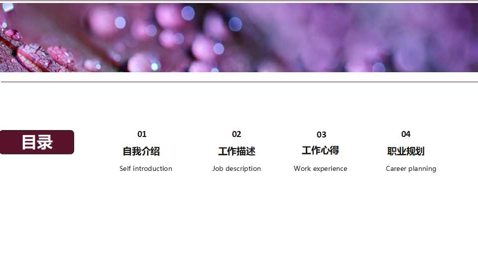 国外——精美商务PPT模板