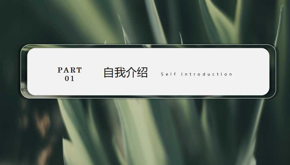 国外精美PPT模板作品欣赏