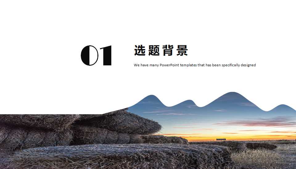 自主创意欧美风商务工作汇报ppt模板