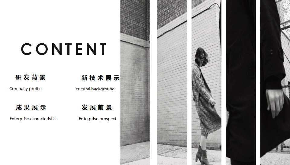 电子PPT模板——国外商务人士