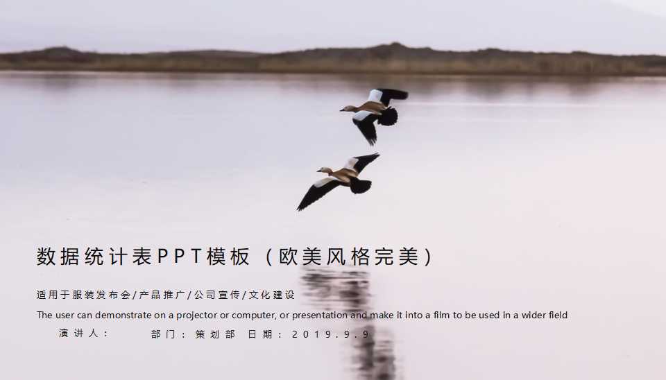 数据统计表PPT模板（欧美风格完美）