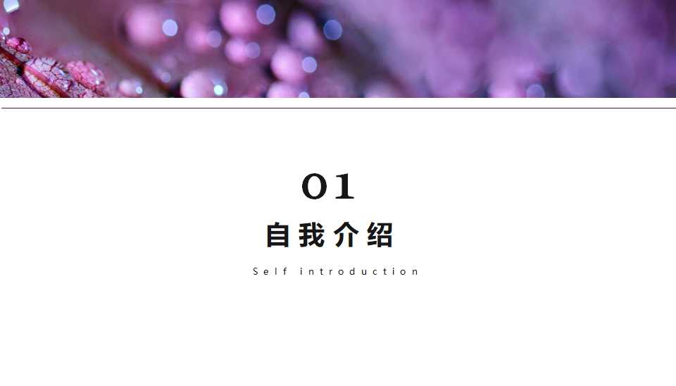 国外——精美商务PPT模板