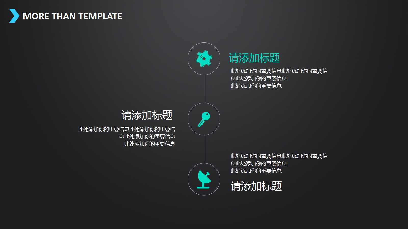 走向成熟的中国IT用户PPT课件