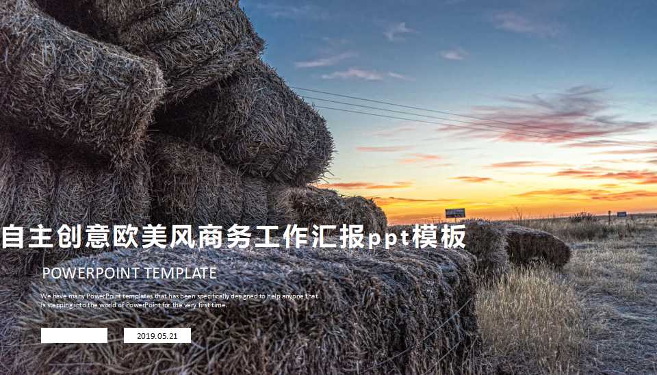 自主创意欧美风商务工作汇报ppt模板