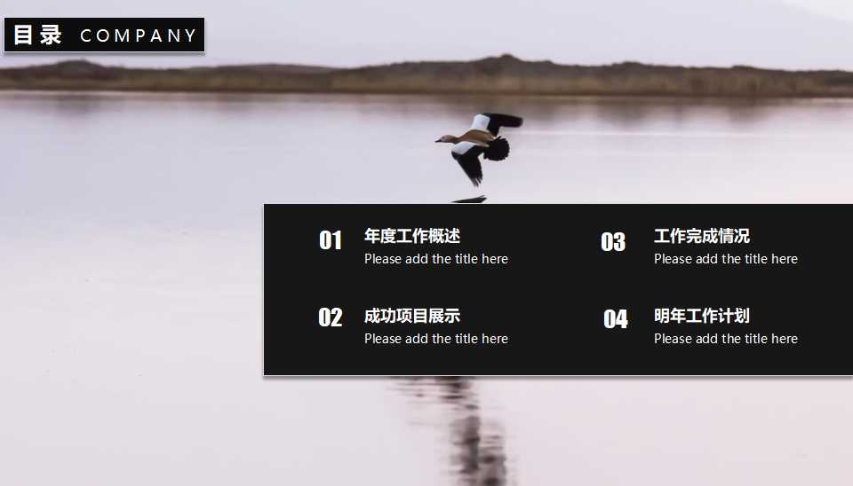 数据统计表PPT模板（欧美风格完美）