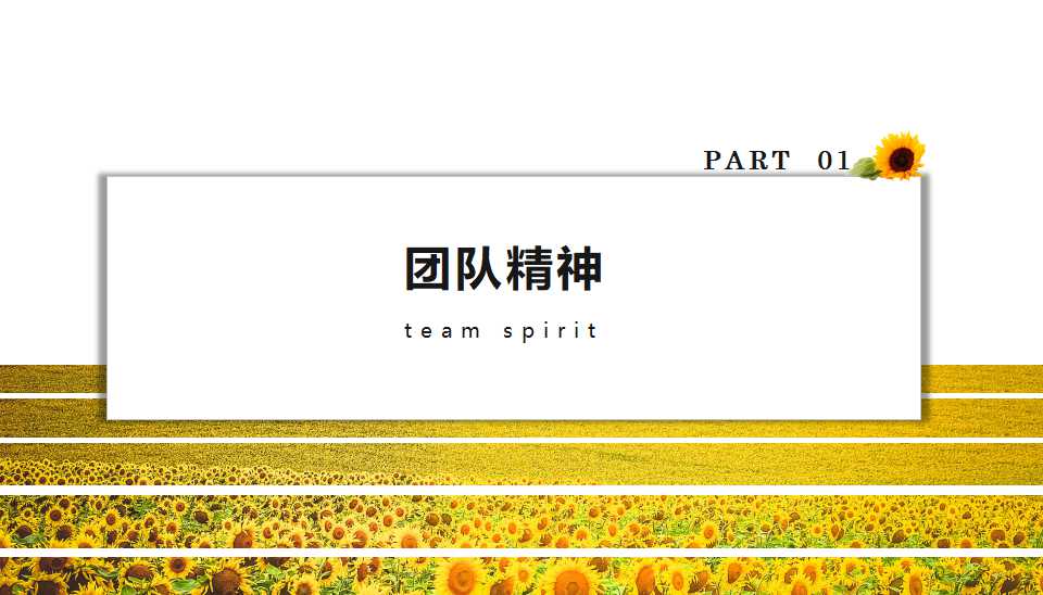 国外版PowerPoint模板（不错的版面）