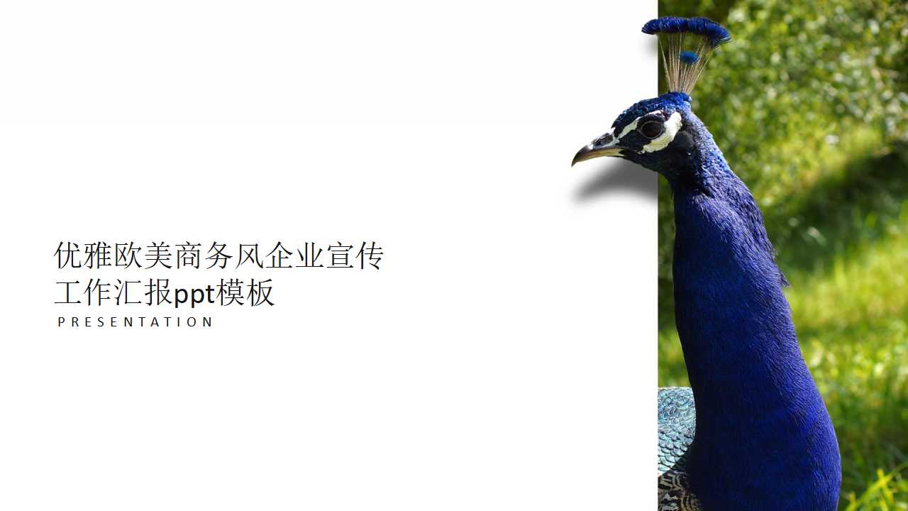 优雅欧美商务风企业宣传工作汇报ppt模板