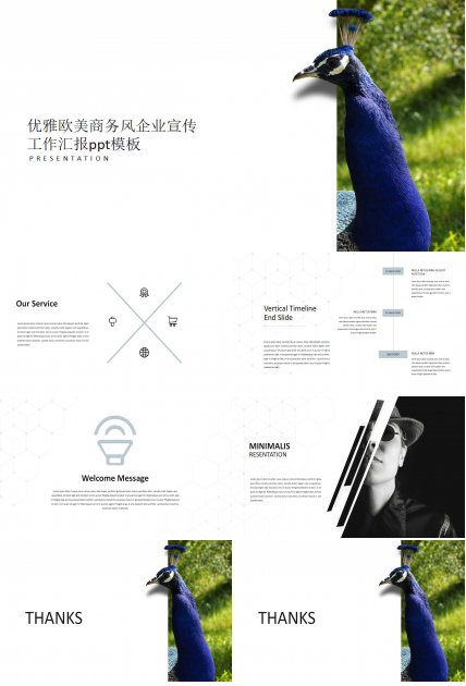 优雅欧美商务风企业宣传工作汇报ppt模板