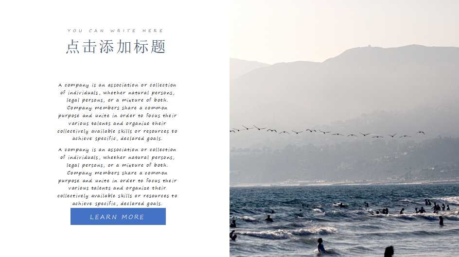 欧美风简约大气医学类科研报告ppt模板