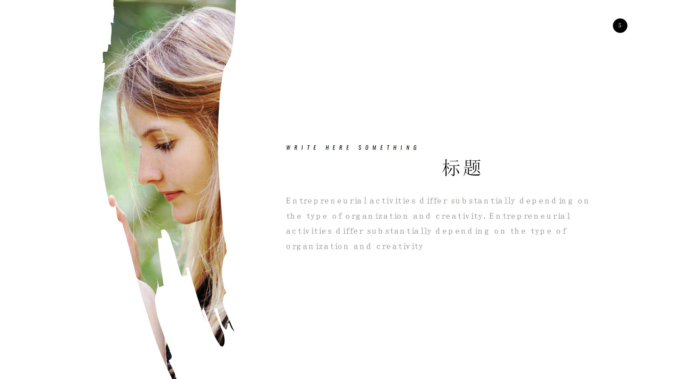 简约欧美商务风融资计划书项目展示ppt模板