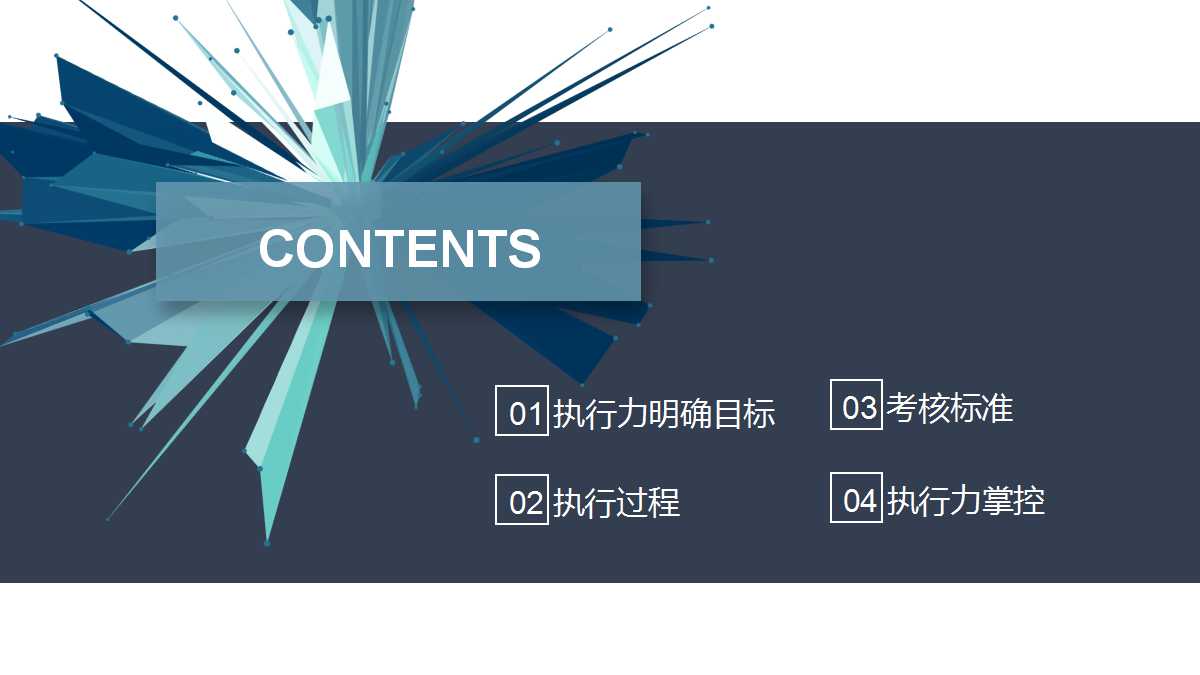 2012年葵花护肝片年度推广方案PPT课件