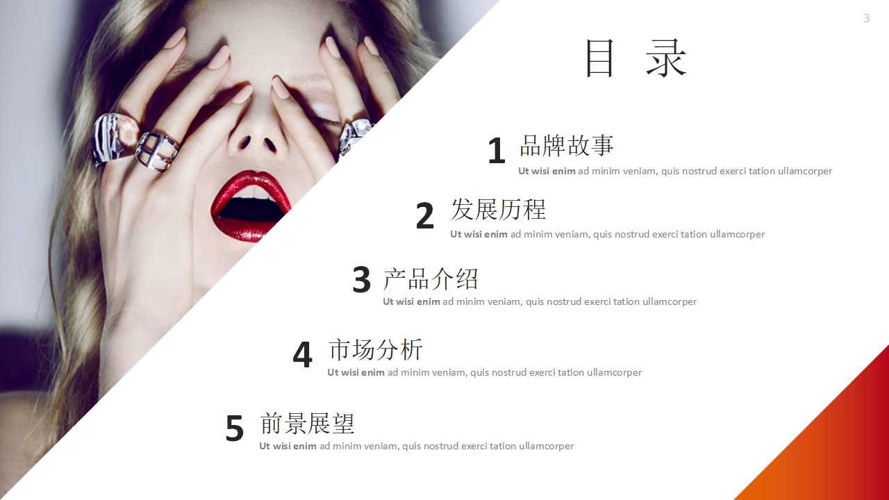 高端精美简约欧美时尚ppt模板