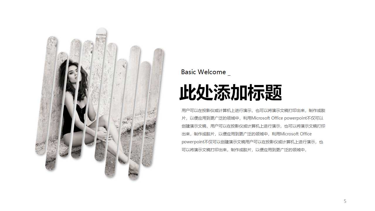 时尚欧美简约公司简介项目推广ppt模板