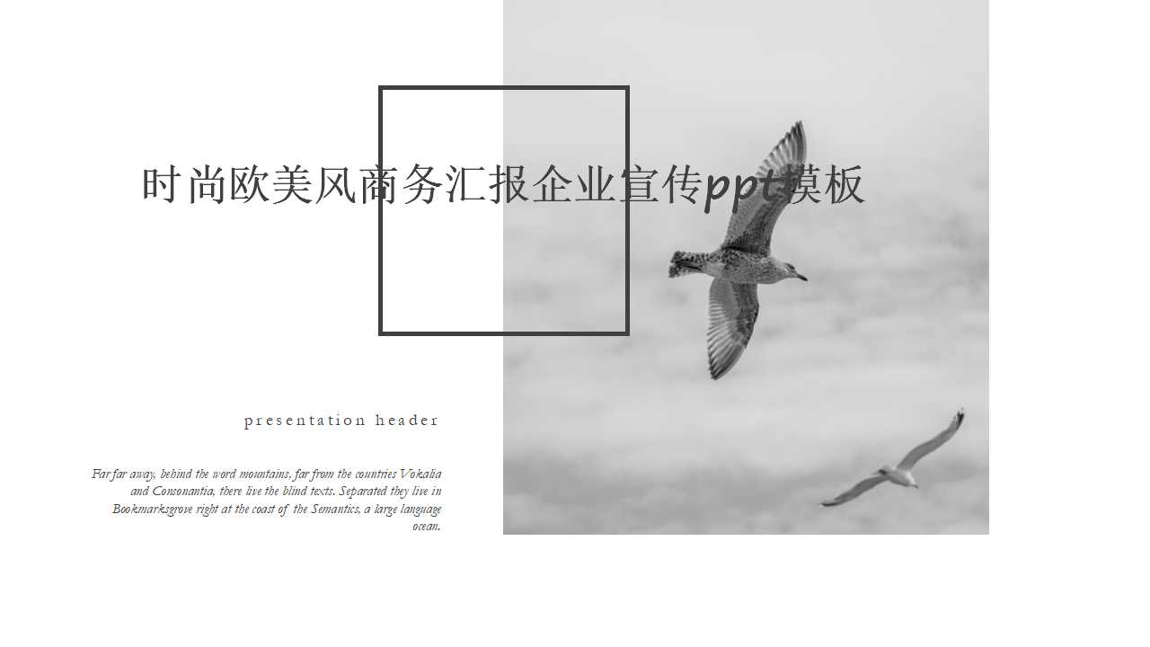 时尚欧美风商务汇报企业宣传ppt模板