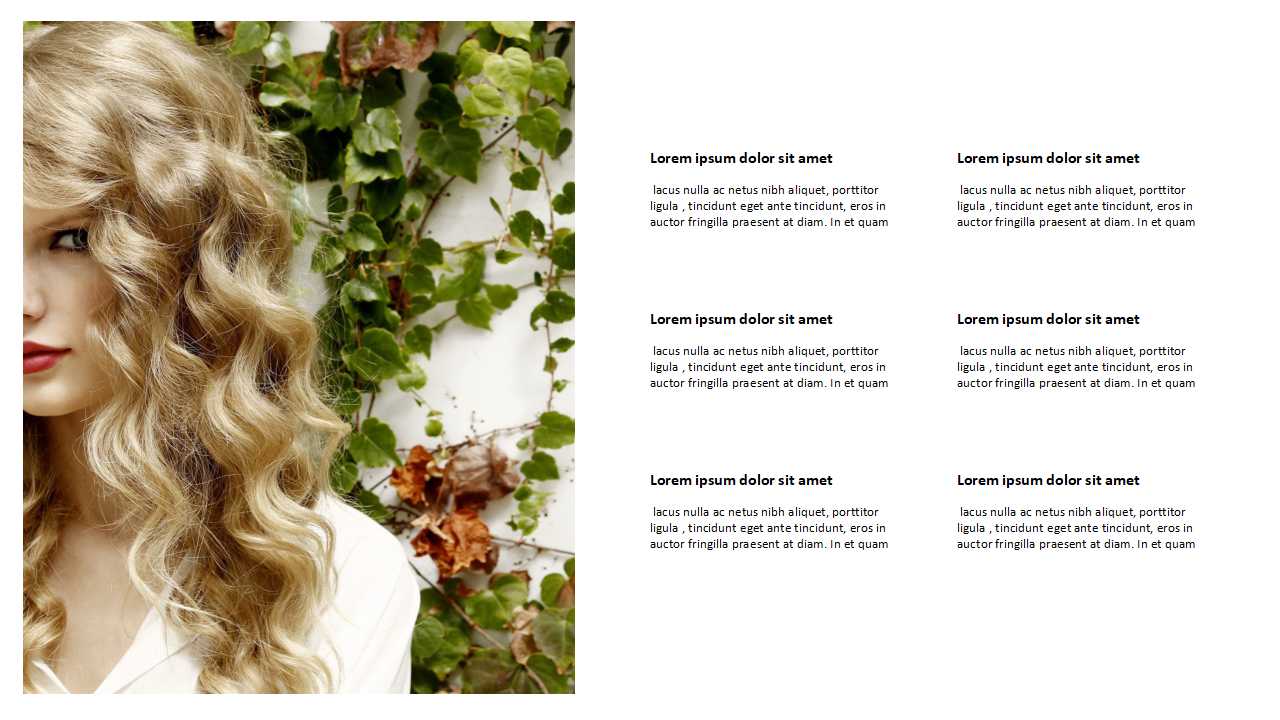 欧美商务ppt模板下载