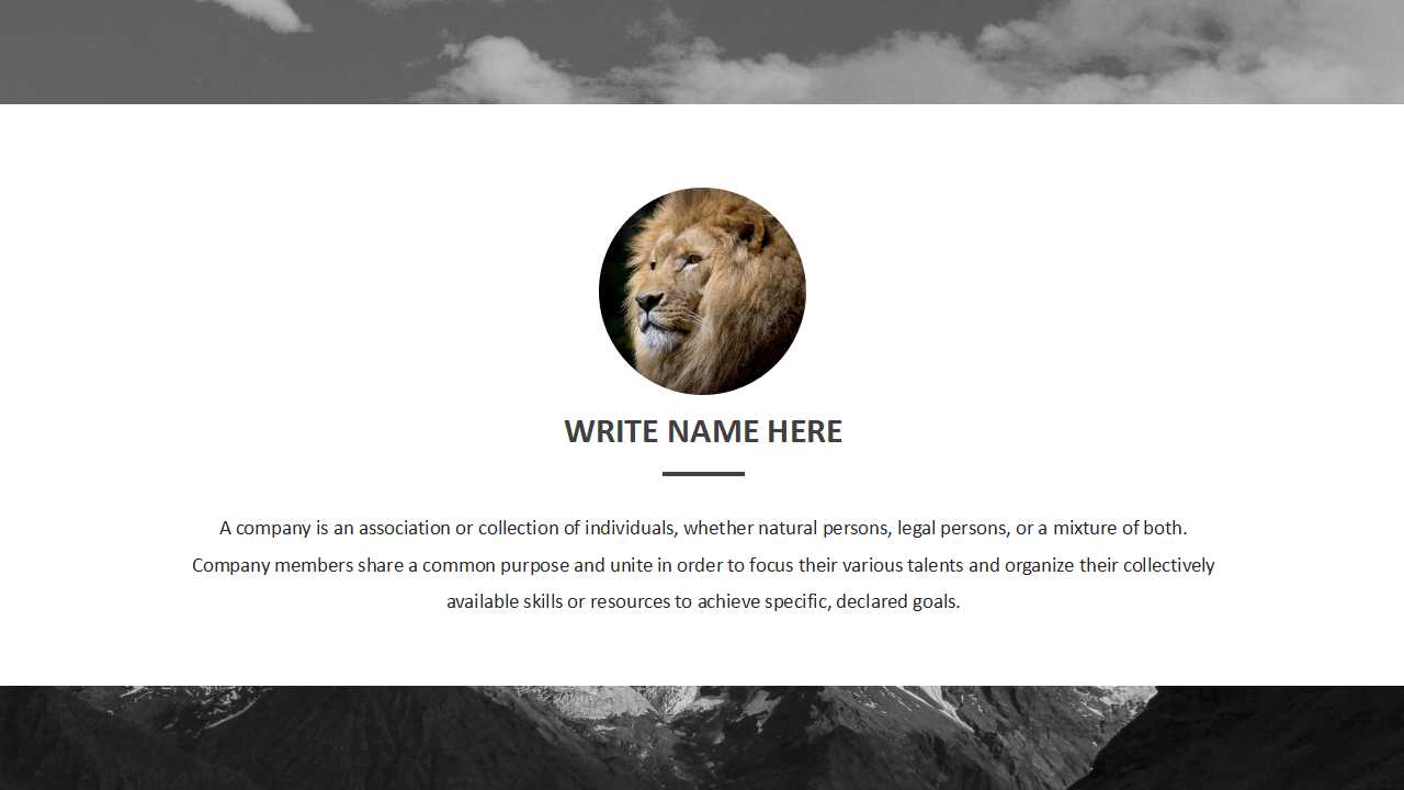 棕色创意欧美风企业宣传项目展示ppt模板