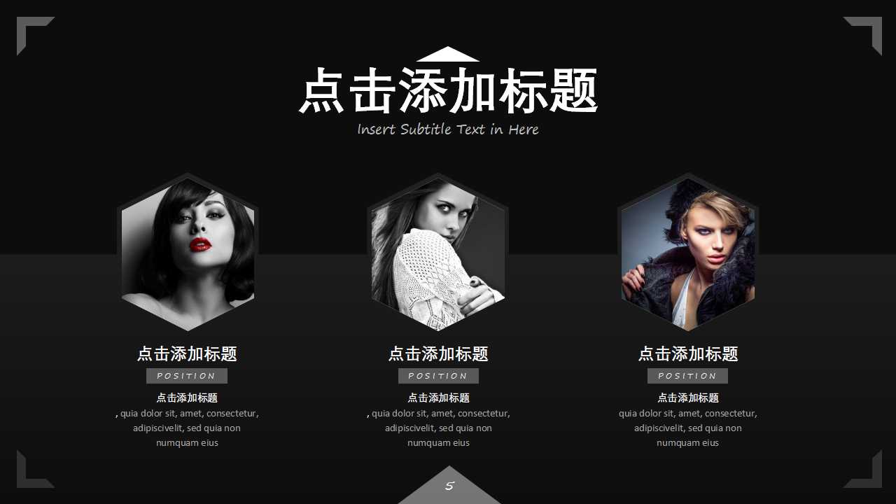 时尚欧美简约公司介绍产品宣传ppt模板