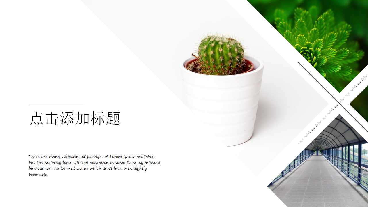 精美高端欧美风英文商务工作总结通用ppt模板