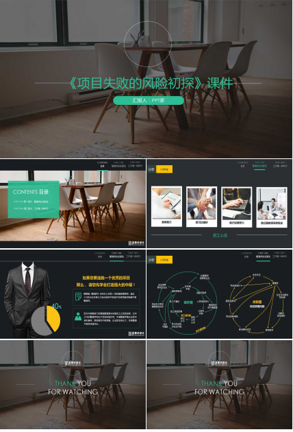 《项目失败的风险初探》PPT课件
