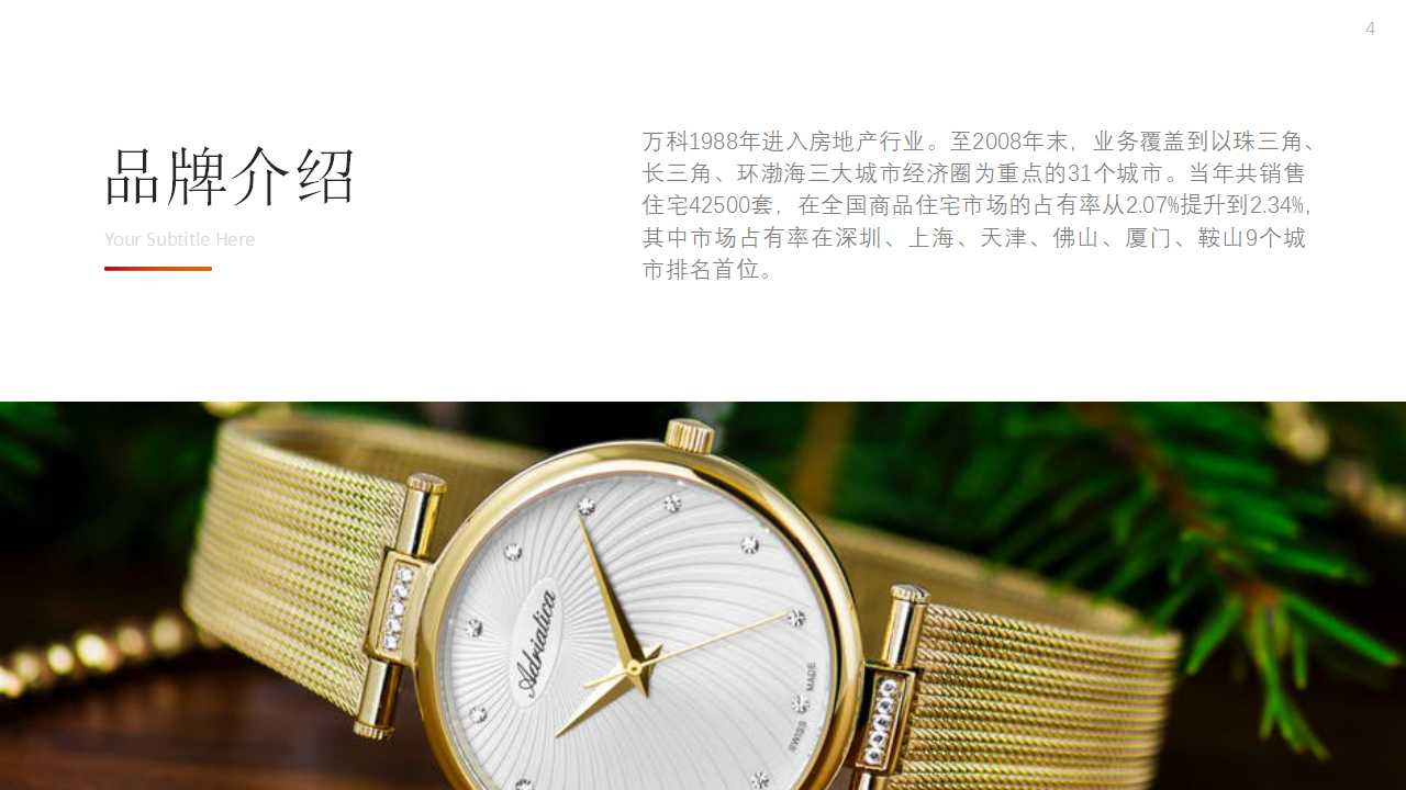 高端精美简约欧美时尚ppt模板