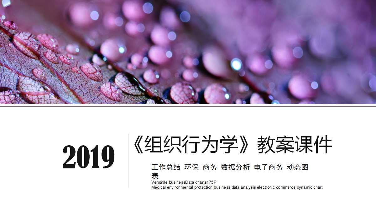 《组织行为学》教案PPT课件