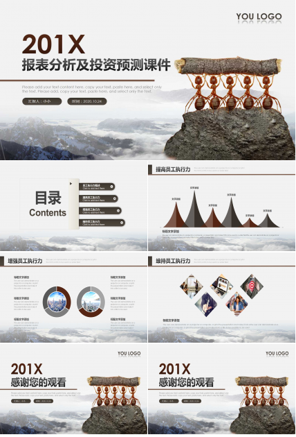 2012年海尔报表分析及投资预测PPT课件