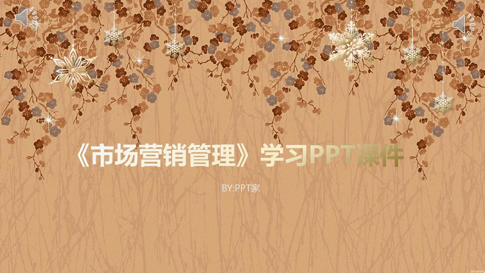 《市场营销管理》学习PPT课件