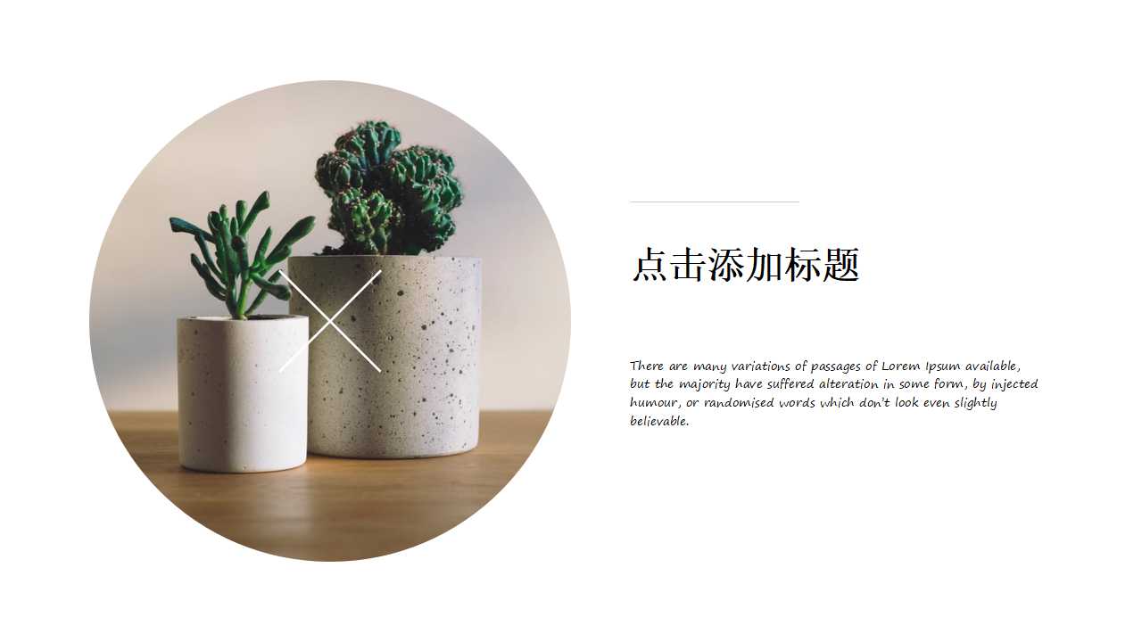 精美高端欧美风英文商务工作总结通用ppt模板