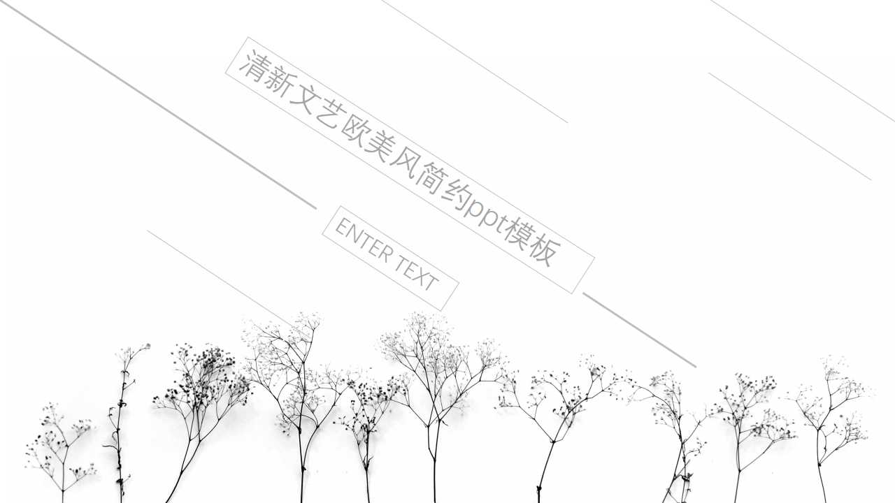清新文艺欧美风简约ppt模板