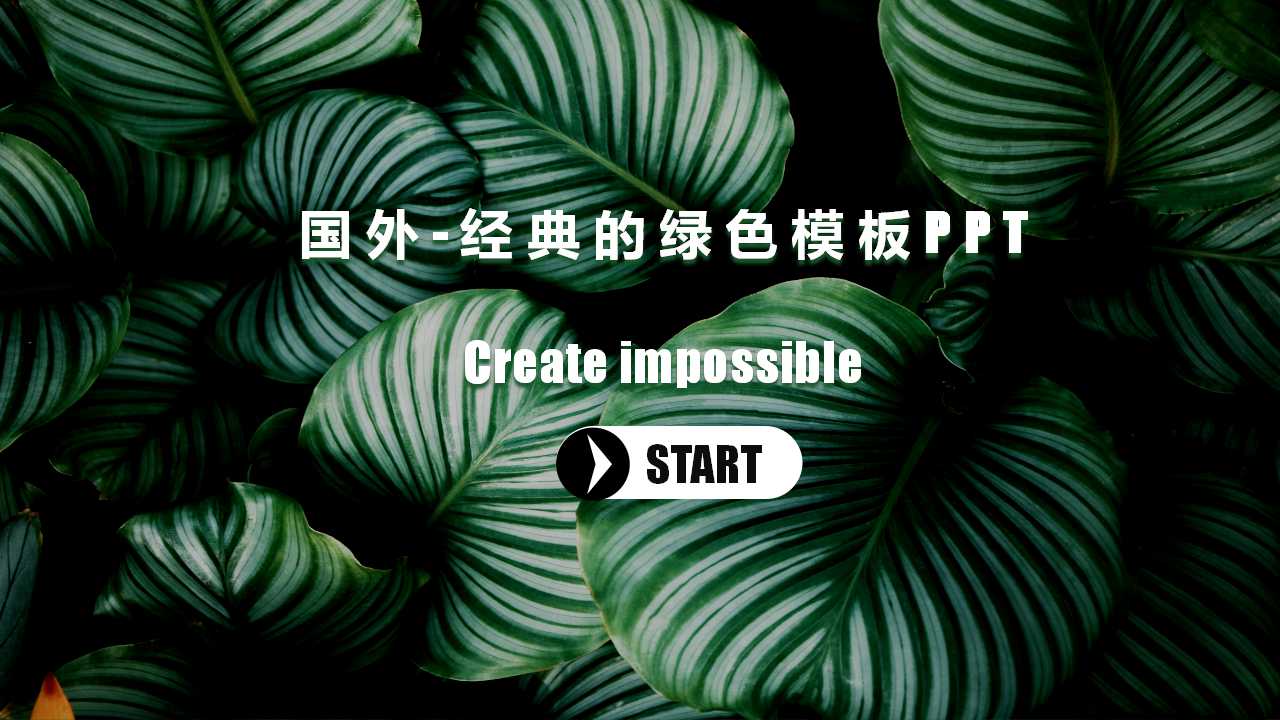 国外-经典的绿色模板PPT