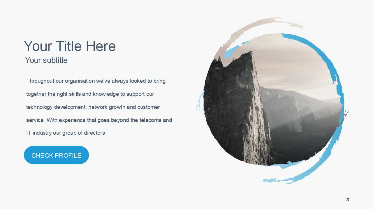 精美欧美风总结ppt模板